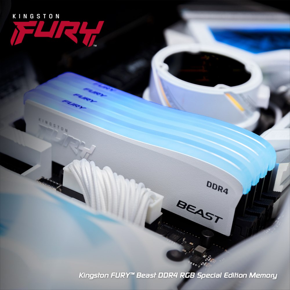 FURY Beast DDR4 RGB Special Edition 001