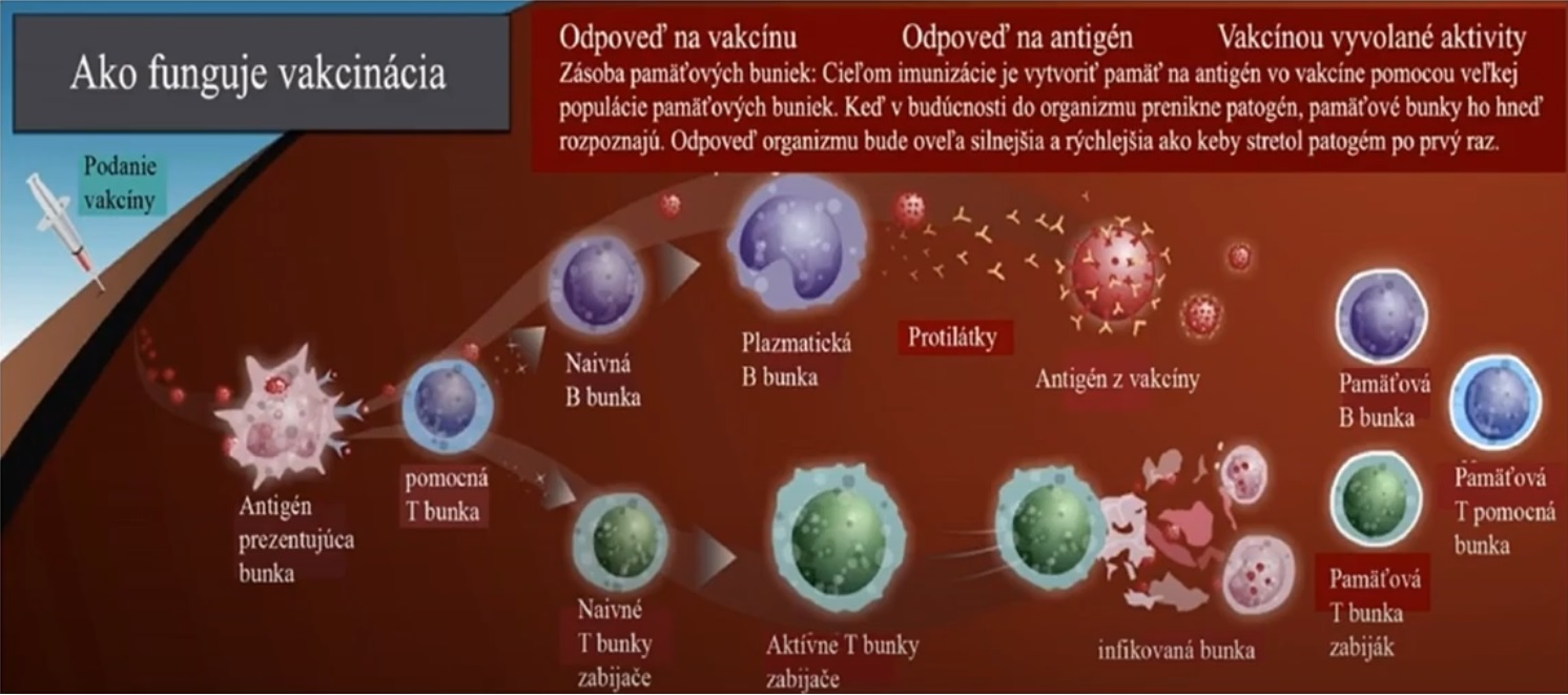 vakcinácia