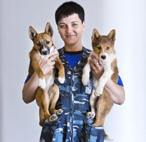Ruská letecká spoločnosť Aeroflot zaregistrovala vlastné plemeno vyhľadávacích psov