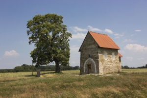 Víťaz ankety – lipa pri románskom kostole v Kopčanoch