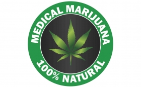 Marihuana na medicínsky spôsob a jej dobré hospodárske čísla